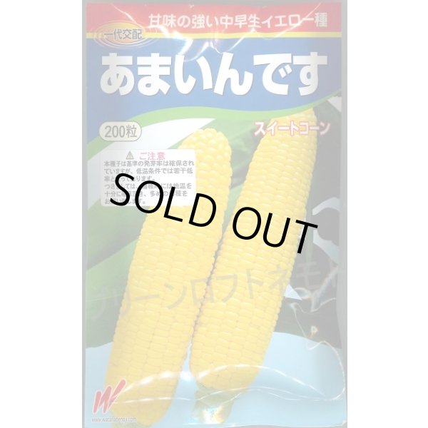 画像1: 送料無料　[とうもろこし]　あまいんです　200粒　渡辺農事(株) (1)