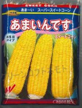 画像: 送料無料[とうもろこし]　あまいんです　2000粒　渡辺農事(株)