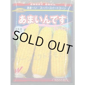 画像: 送料無料[とうもろこし]　あまいんです　2000粒　渡辺農事(株)
