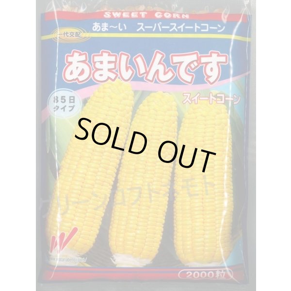 画像1: 送料無料[とうもろこし]　あまいんです　2000粒　渡辺農事(株) (1)
