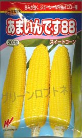 画像: 送料無料　[とうもろこし]　あまいんです88　200粒　渡辺農事(株)