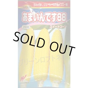 画像: 送料無料　[とうもろこし]　あまいんです88　200粒　渡辺農事(株)