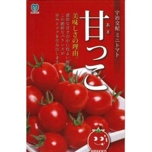 画像: [トマト/ミニトマト]　甘っこ　20粒　宇治交配