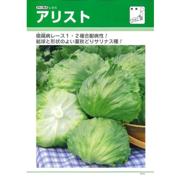 画像2: [レタス]　送料無料！　アリスト　ペレット　5000粒　タキイ種苗（株） (2)