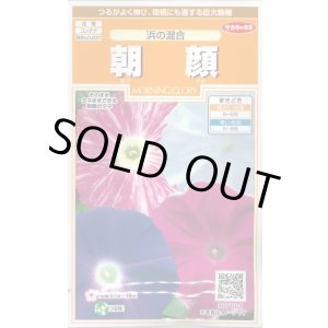 画像: 送料無料　花の種　朝顔　浜の混合　約8粒　(株)サカタのタネ　　実咲200（026305）