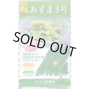 画像: 送料無料　[キュウリ]　あずま3号　1ml　（株）大和農園