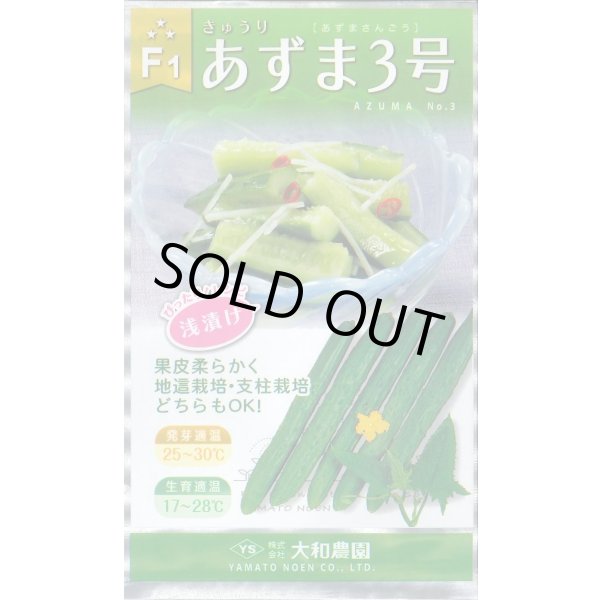 画像1: 送料無料　[キュウリ]　あずま3号　10ml　（株）大和農園 (1)