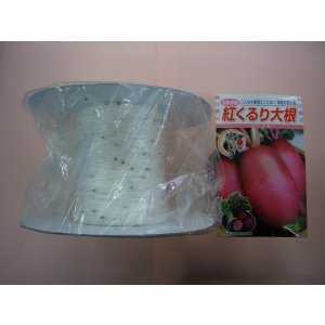 画像: [シーダー種子]　大根　紅くるり　1粒×30cm×100m