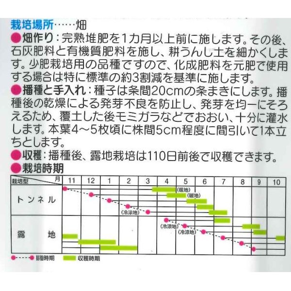 画像3: [人参]　ベーターリッチ　1万粒 Ｌサイズ ペレット種子　サカタのタネ（株） (3)