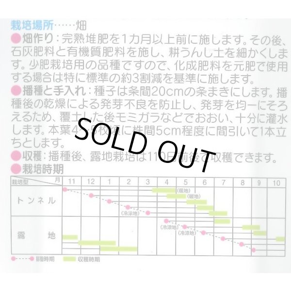 画像4: 送料無料　[人参]　ベーターリッチ　ペレット　約350粒　(株)サカタのタネ　実咲450（003107） (4)