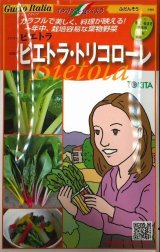 画像: [イタリア野菜]　ビエトラ・トリコローレ　小袋　　　 トキタ種苗（株）