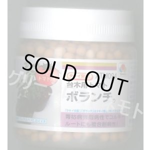 画像: 送料無料 [台木/トマト用] ボランチ ペレット 2L 1000粒 タキイ種苗(株)