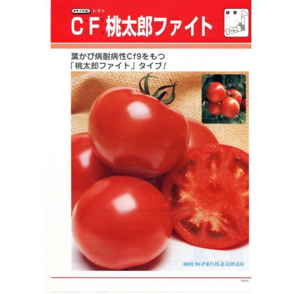 画像3: 送料無料 [トマト/桃太郎系] CF桃太郎ファイト 1000粒 貴種(コートしてません) タキイ種苗(株) (3)