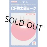 画像: 送料無料　[トマト/桃太郎系]　CF桃太郎ヨーク　1000粒　貴種(コートしてません)　タキイ種苗(株)
