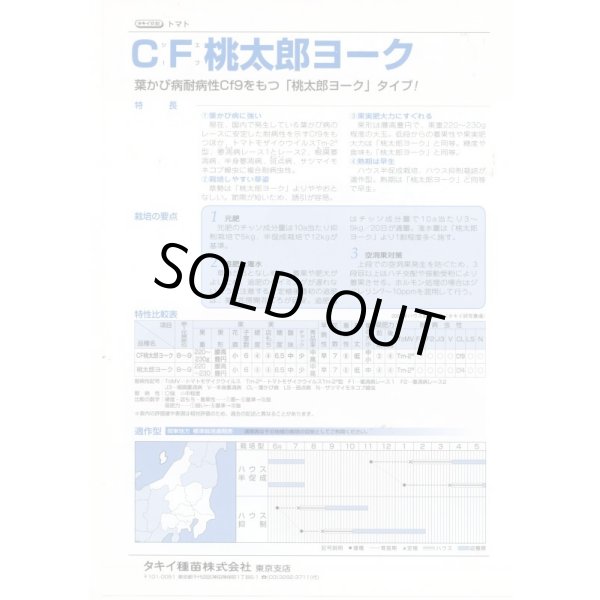 画像4: 送料無料　[トマト/桃太郎系]　CF桃太郎ヨーク　1000粒　貴種(コートしてません)　タキイ種苗(株) (4)