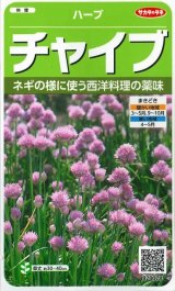 画像: [ハーブの種]　チャイブ　　約250粒　サカタのタネ　実咲