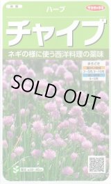 画像: 送料無料　[ハーブの種]　チャイブ　約250粒　(株)サカタのタネ　実咲（003185）