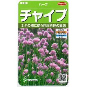 画像: [ハーブの種]　チャイブ　　約250粒　サカタのタネ　実咲