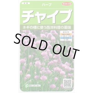 画像: 送料無料　[ハーブの種]　チャイブ　約250粒　(株)サカタのタネ　実咲（003185）