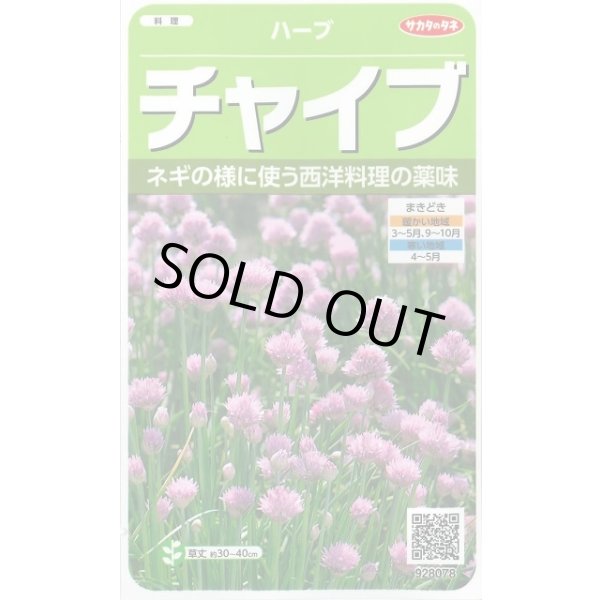 画像1: [ハーブの種] チャイブ 約250粒 (株)サカタのタネ 実咲250(003185) (1)