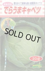 画像: [キャベツ] でらうま 20ml 松永種苗(株)