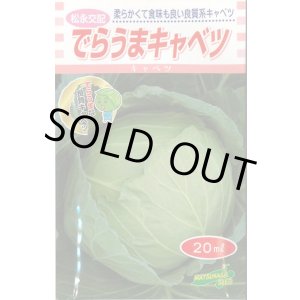 画像: [キャベツ] でらうま 20ml 松永種苗(株)