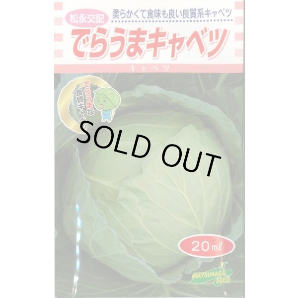 画像1: [キャベツ] でらうま 20ml 松永種苗(株) (1)