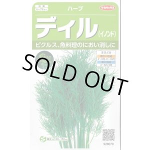 画像: 送料無料　[ハーブの種]　ディル(イノンド)約700粒　(株)サカタのタネ　実咲（003186）
