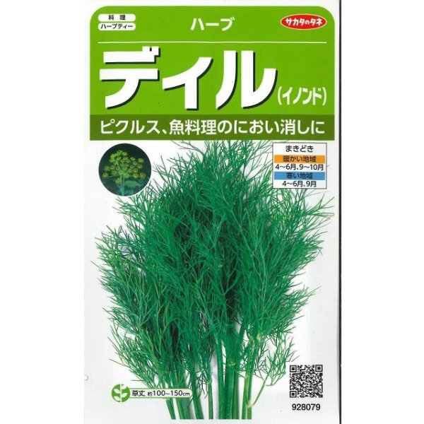 画像1: 送料無料　[ハーブの種]　ディル(イノンド)約700粒　(株)サカタのタネ　実咲（003186） (1)