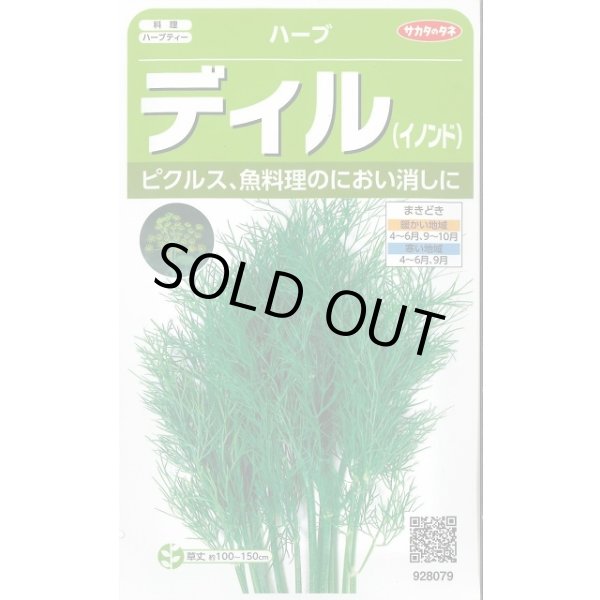 画像1: 送料無料　[ハーブの種]　ディル(イノンド)約700粒　(株)サカタのタネ　実咲（003186） (1)