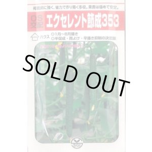 画像: 送料無料　[キュウリ]　エクセレント節成353　350粒　ＯＳ交配