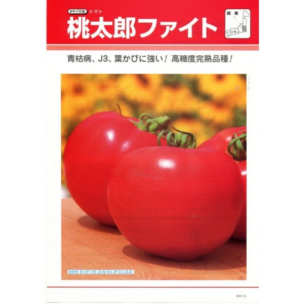 画像4: [トマト/桃太郎系]　桃太郎ファイト　16粒 貴種（コートしてません）　タキイ種苗（株）　DF　 (4)