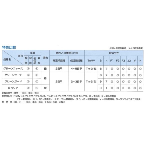 画像4: [台木/トマト用]　送料無料！　グリーンフォース　 1000粒　タキイ種苗（株） (4)