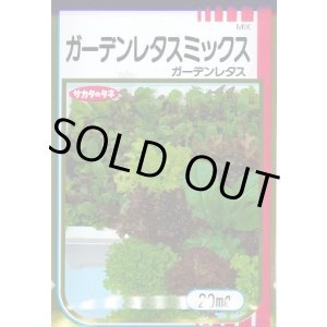 画像: 送料無料 [レタス] ガーデンレタスミックス 20ml （株）サカタのタネ