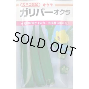 画像: 送料無料　[オクラ]　ガリバー　6ml　カネコ種苗（株）
