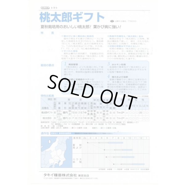 画像3: 送料無料　[トマト/桃太郎系]　桃太郎ギフト　50粒　貴種(コートしてません)　タキイ種苗(株) (3)
