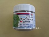 画像: [レタス]　グリーンジャケット　ペレット　5000粒　タキイ種苗(株)