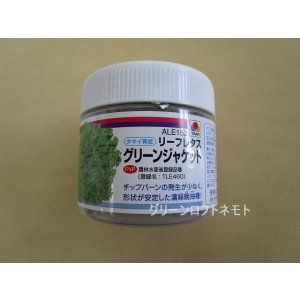 画像: [レタス]　グリーンジャケット　ペレット　5000粒　タキイ種苗(株)