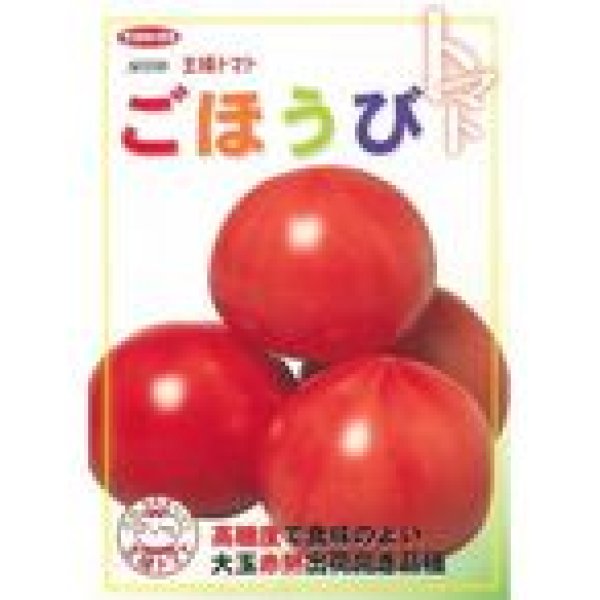 画像2: [トマト]　送料無料！　ごほうび　1000粒　サカタのタネ（株） (2)