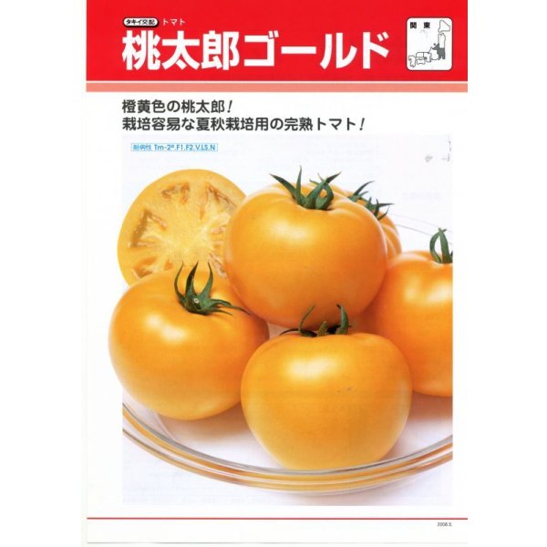 画像3: 送料無料 [トマト/桃太郎系] 桃太郎ゴールド 1000粒 タキイ種苗(株) (3)
