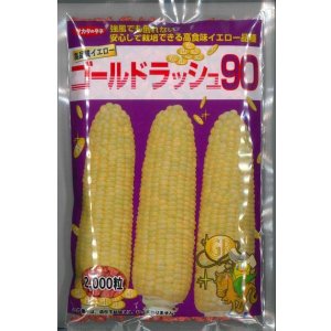 画像: [とうもろこし] ゴールドラッシュ90 2000粒 (株)サカタのタネ