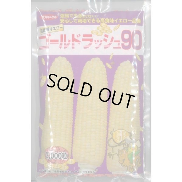 画像1: 送料無料[とうもろこし]　ゴールドラッシュ90　2000粒　(株)サカタのタネ (1)