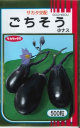 画像: 送料無料 [なす] ごちそうなす 500粒 (株)サカタのタネ