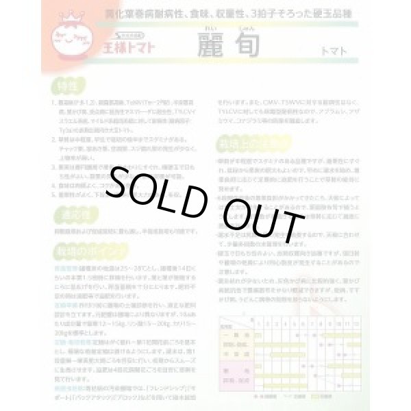 画像3: 送料無料　[トマト/大玉トマト]　麗旬　1000粒（10%増量）　(株)サカタのタネ (3)