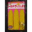 画像1: 送料無料[とうもろこし]　ゴールドラッシュネオ　2000粒　(株)サカタのタネ (1)