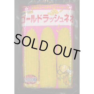 画像: 送料無料[とうもろこし]　ゴールドラッシュネオ　2000粒　(株)サカタのタネ