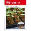 画像3: [台木/トマト用]　送料無料！　グリーンセーブ　２Ｌ　ペレット種子　1000粒　タキイ種苗（株） (3)