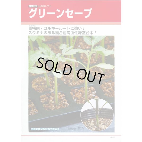 画像3: 送料無料 [台木/トマト用] グリーンセーブ 2L ペレット種子 1000粒 タキイ種苗(株) (3)