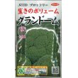 画像1: [ブロッコリー]　グランドーム　ぺレット種子　125粒 　実咲シリーズ　サカタ交配　 (1)