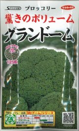 画像: 送料無料　[ブロッコリー]　グランドーム　ぺレット種子　125粒　(株)サカタのタネ   実咲550（003176）